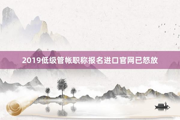 2019低级管帐职称报名进口官网已怒放