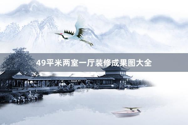 49平米两室一厅装修成果图大全